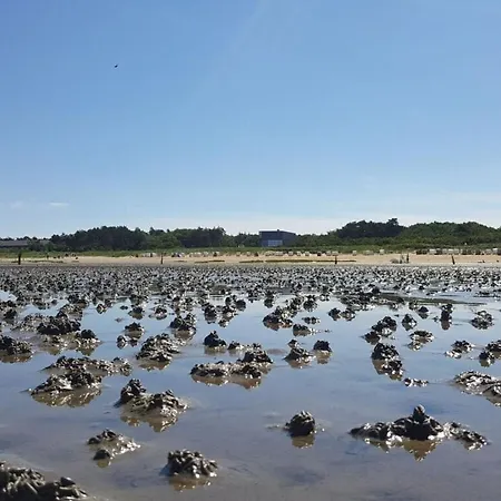High Geest 4 - Including Many Extras Cuxhaven